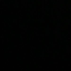 Meet your Posher, Deshawn